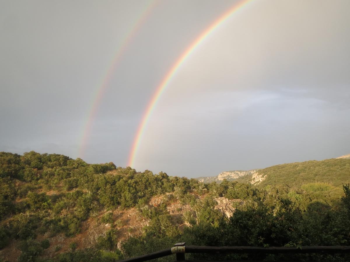 Les Hauts D'Issensac Causse-de-la-Selle Luaran gambar