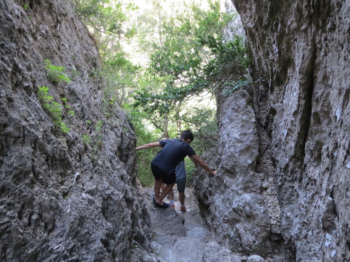 Les Hauts D'Issensac Causse-de-la-Selle Luaran gambar