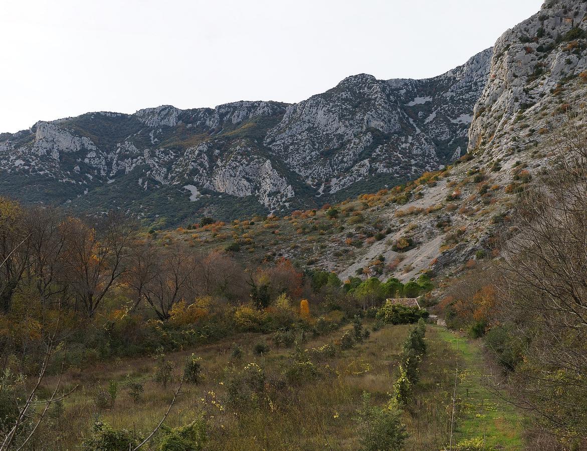 Les Hauts D'Issensac Causse-de-la-Selle Luaran gambar